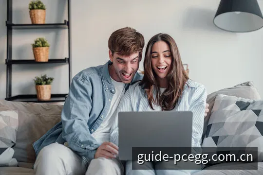 PC蛋蛋计算模型与光学校准结构示意图